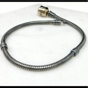 Pandora bracelet small